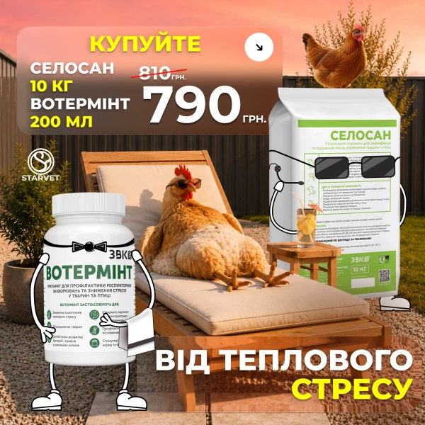 Від Теплового Стресу