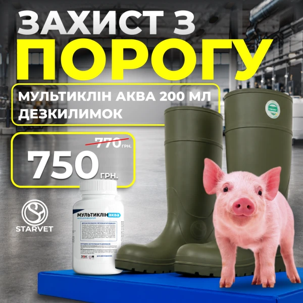 Дезкилимок + Мультиклін Аква