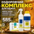 Оздоровление пчел перед зимовкой