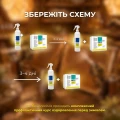 Оздоровление пчел перед зимовкой