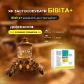 Оздоровление пчел перед зимовкой