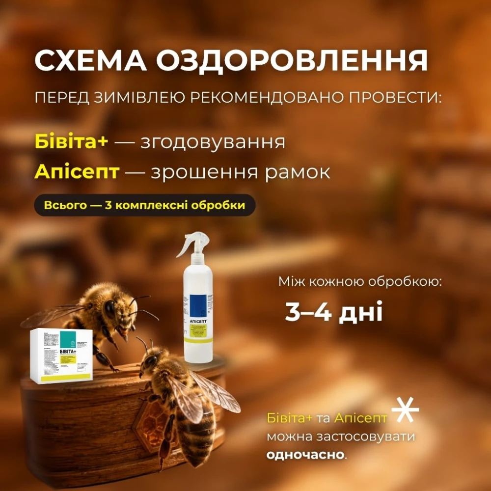 Оздоровление пчел перед зимовкой