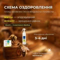 Оздоровление пчел перед зимовкой