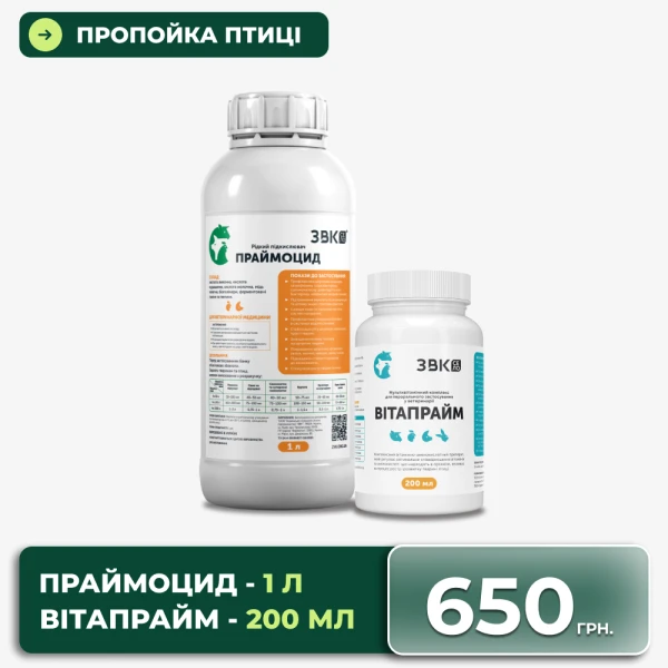 Пропойка птиці