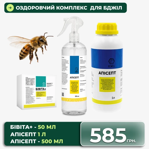 Оздоровлення бджіл перед зимівлею